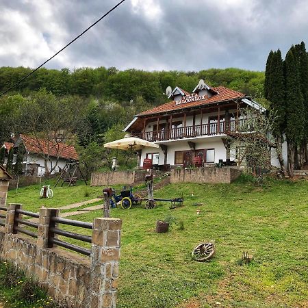 Villa Balconlux - Zavojsko Jezero, Pirot Eksteriør billede