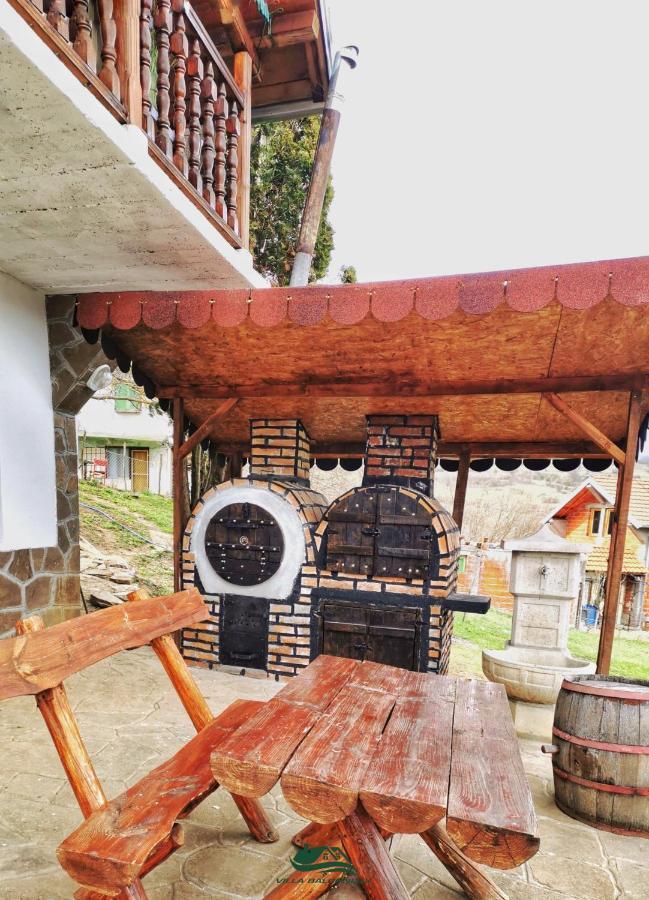 Villa Balconlux - Zavojsko Jezero, Pirot Eksteriør billede