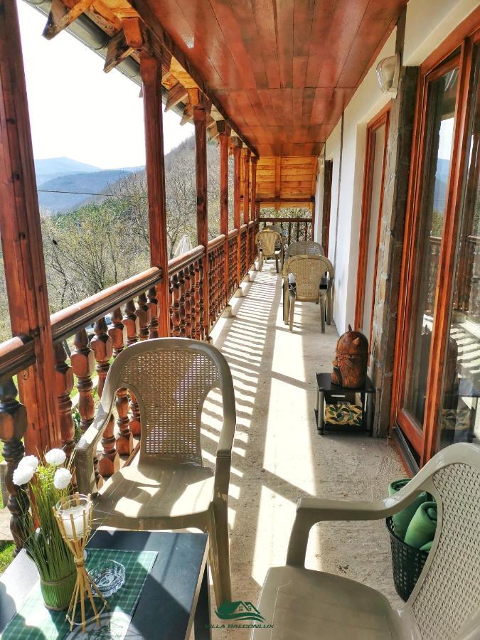 Villa Balconlux - Zavojsko Jezero, Pirot Eksteriør billede
