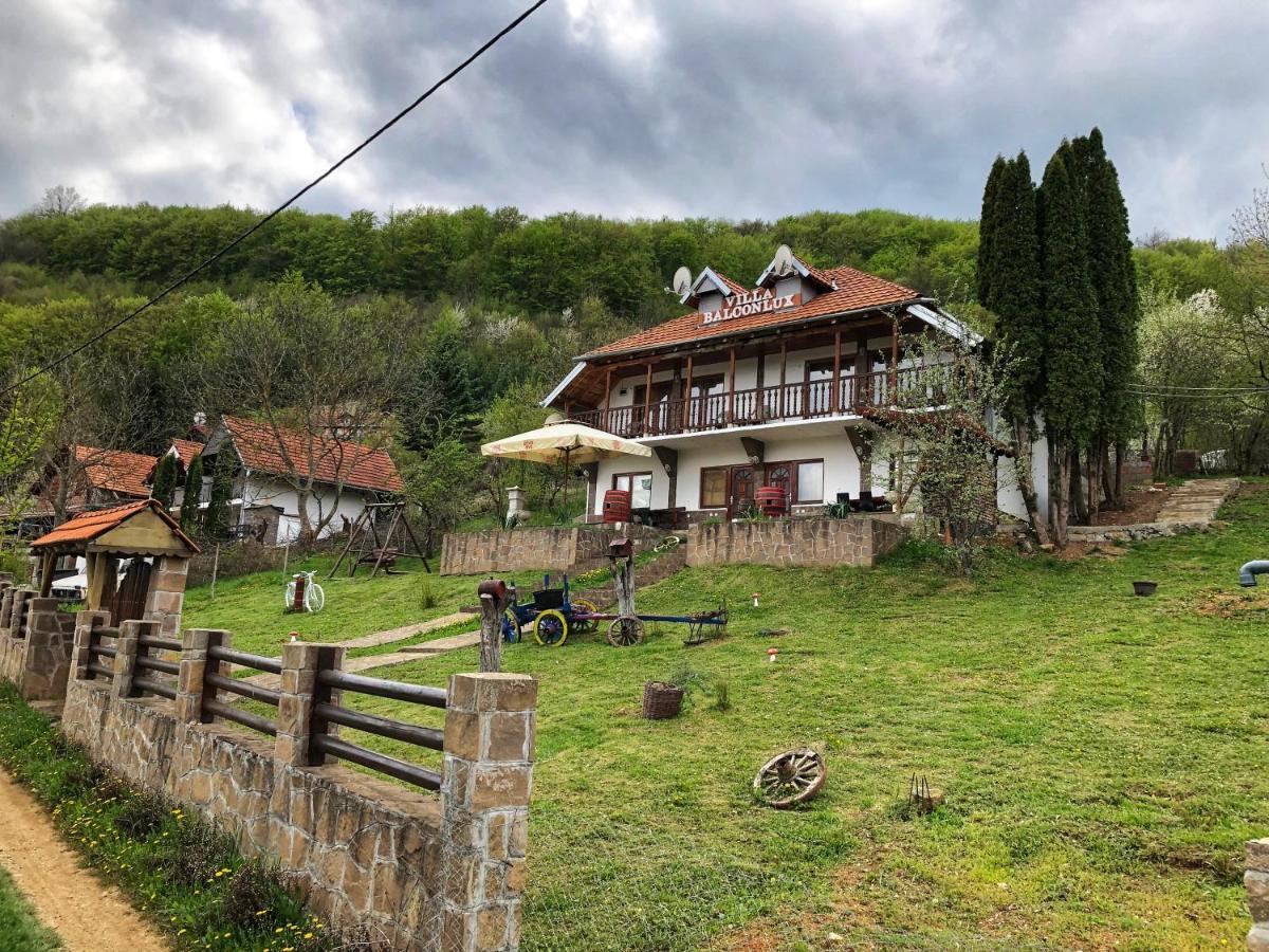 Villa Balconlux - Zavojsko Jezero, Pirot Eksteriør billede